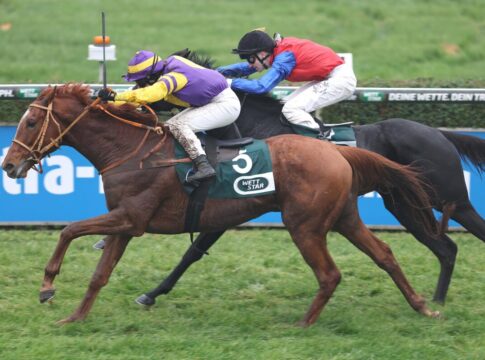 Pivotal Affair siegt unter Anna van den Troost