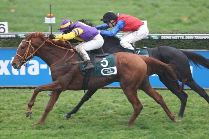 Pivotal Affair siegt unter Anna van den Troost