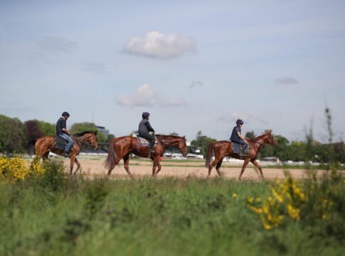 Morgenarbeit in Köln Weidenpesch