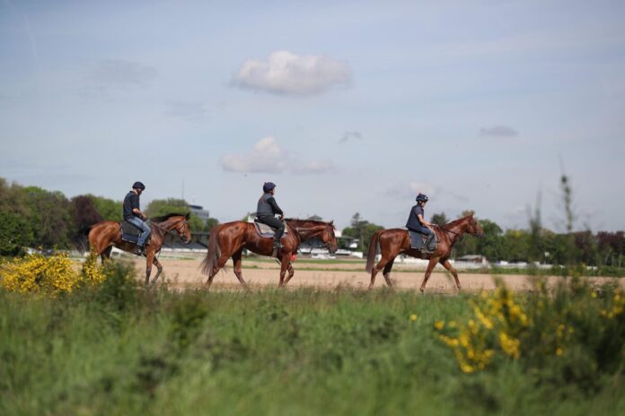 Morgenarbeit in Köln Weidenpesch