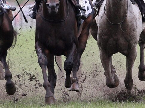 Galopprennen auf weichem Boden
