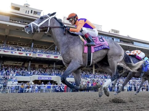 Ted Noffey Foto: Casey Laughter und Scott Serio Eclipse