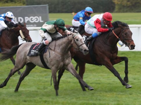 Waldemar siegt unter Alexander Pietsch im BBAG Auktionsrennen-Hans-Gerd Wernicke- Erinnerungsrennen