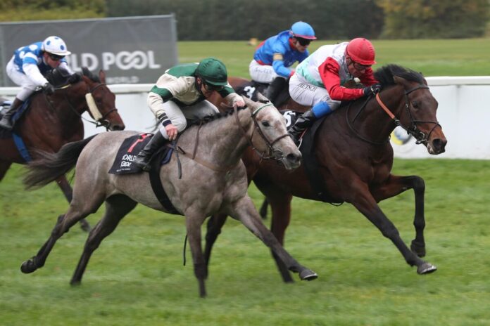 Waldemar siegt unter Alexander Pietsch im BBAG Auktionsrennen-Hans-Gerd Wernicke- Erinnerungsrennen