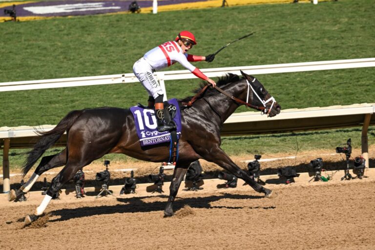 Bentornato Foto: ©Bentley Breland/Eclipse Sportswire