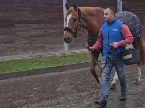 Flatten the Curve zurück im Grewe-Stall