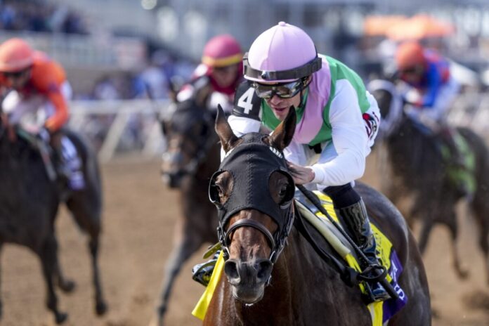 Scylla (Foto: ©Scott Serio/Eclipse Sportswire)