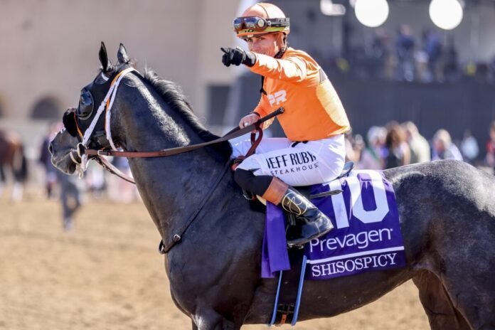 Shisospicy (Foto:©Kat Turnbull/Eclipse Sportswire)