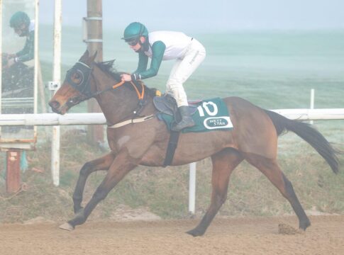 After Time siegt unter Sibyle Vogt