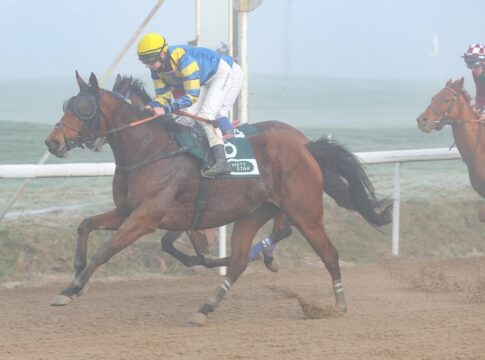 City Cat siegt unter Sibylle Vogt