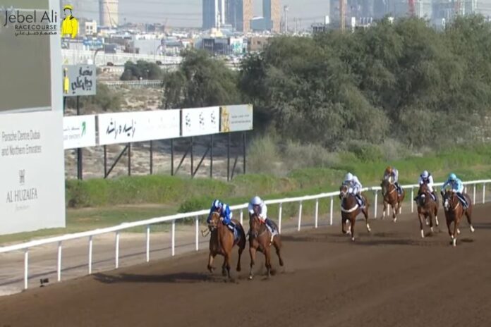 Dukedom wird Zweiter in Jebel Ali (Screenshot)
