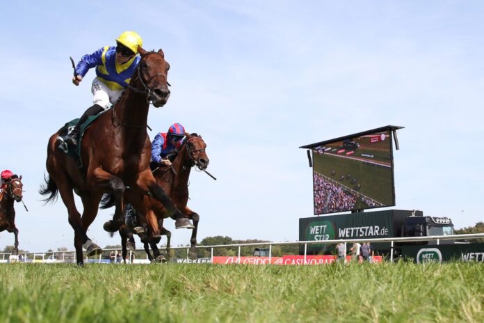 Goliath (li.) gewinnt den Grossen Preis von Baden