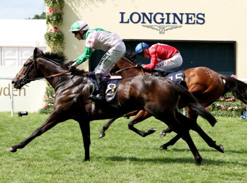 Khaadem Foto: hkjc.com