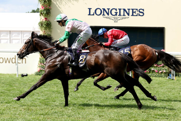 Khaadem Foto: hkjc.com