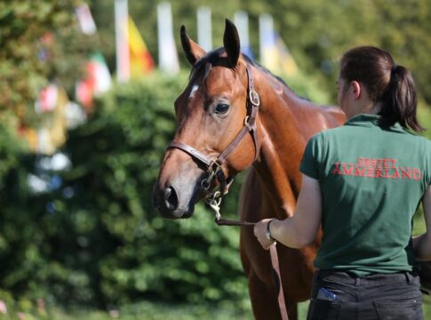 Margie's Music (Archiv)