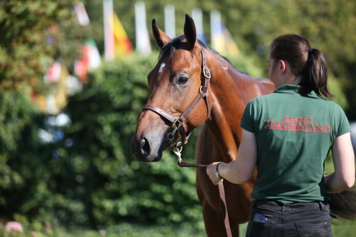 Margie's Music (Archiv)