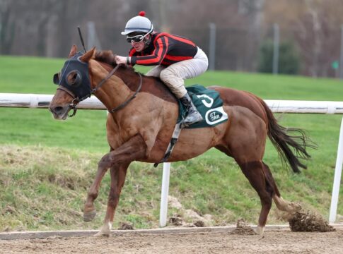 Mr Pablo siegt unter Matthew Johnson