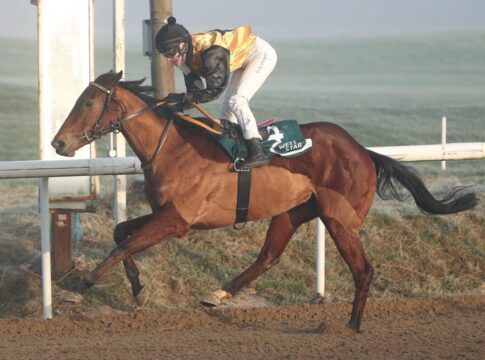 Ostseesonne siegt unter Sibylle Vogt