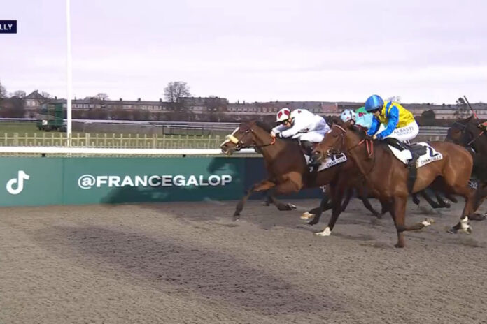 Paco siegt in Chantilly Foto: Screenshot Equidia
