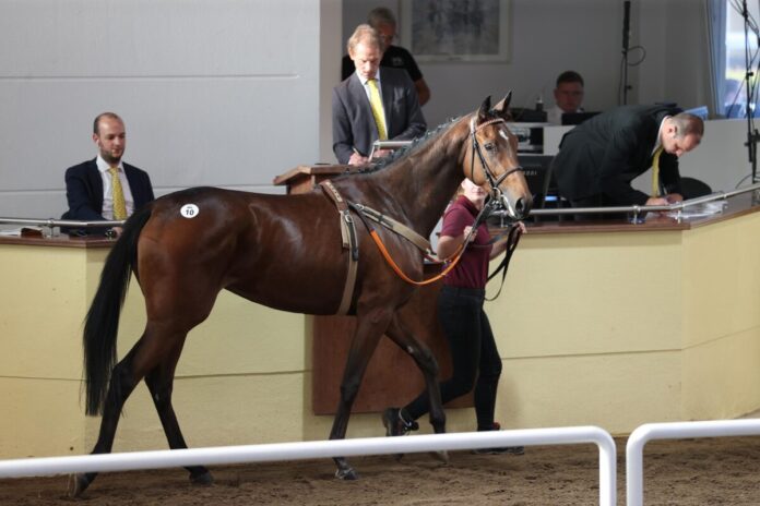 Palace Sunshine als Zweijährige bei der BBAG