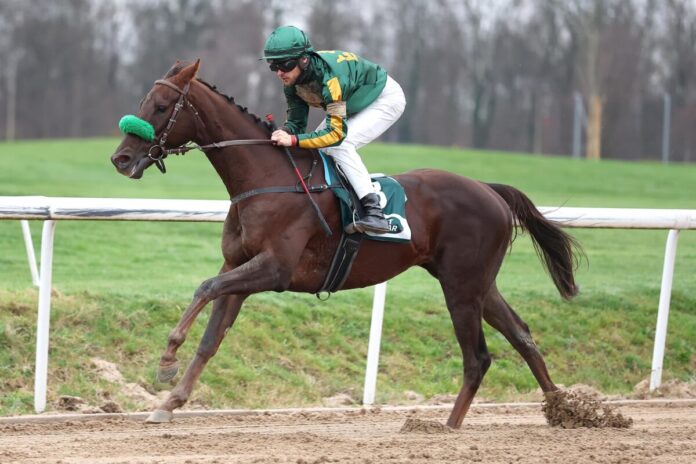 Quick And Wild siegt unter Thore Hammer-Hansen