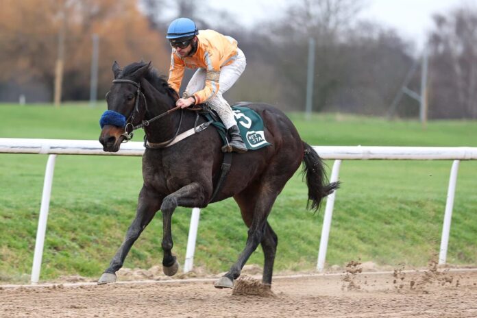 Vinnare siegt unter Thore Hammer-Hansen