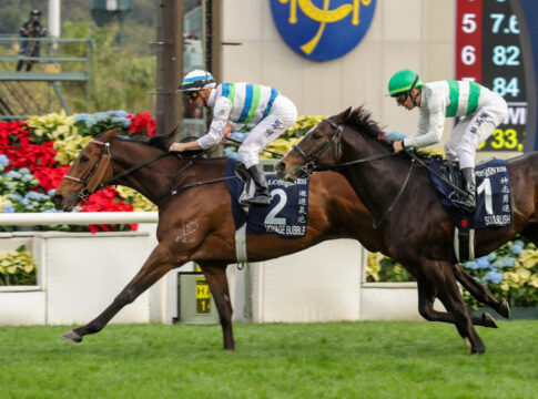 Voyage Bubble Foto: hkjc.com