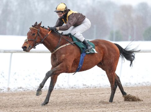 Artistic Mission siegt unter Michaela Malacova