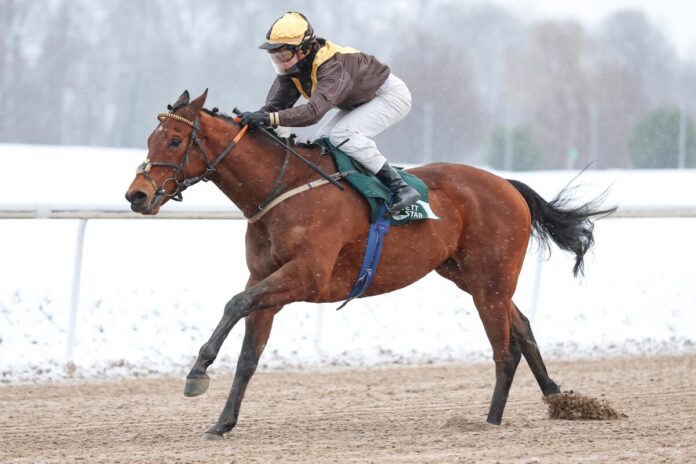 Artistic Mission siegt unter Michaela Malacova