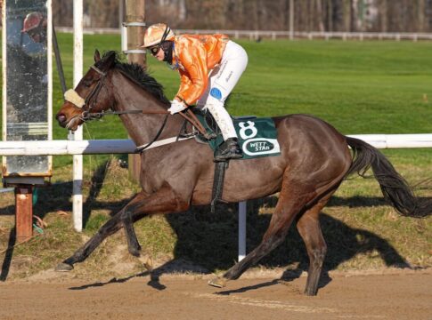 Charming Lady siegt unter Michaela Musialova