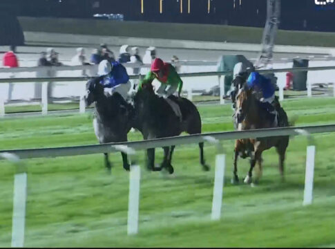 Dubai Beach gewinnt gegen Quid Pro Quo und Dubai Treasure (v.li.) Foto: Screenshot