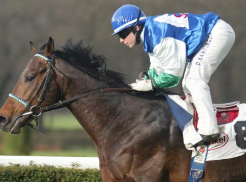 Jaymito siegte unter Delphine Santiago