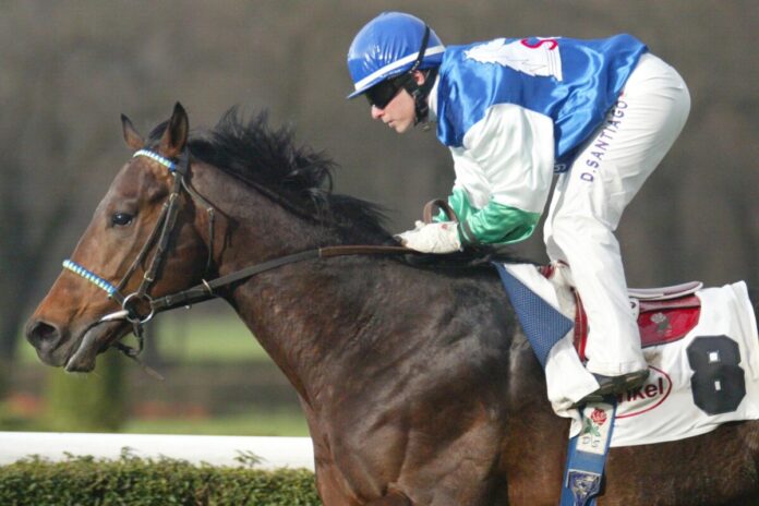 Jaymito siegte unter Delphine Santiago