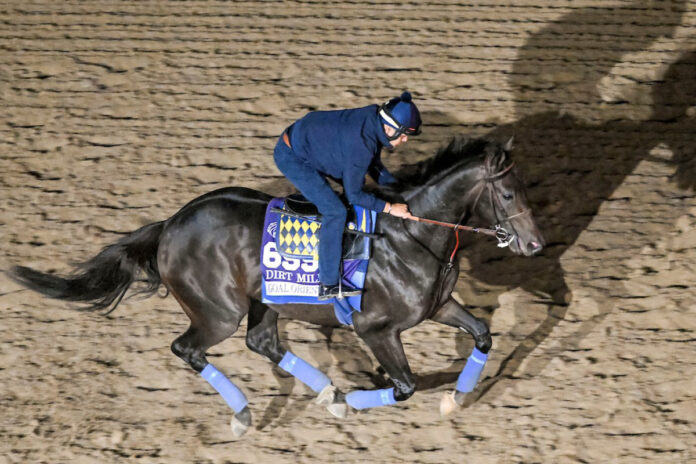 Goal Oriented Foto: John Voorhees/Eclipse Sportswire/Breeders Cup