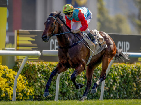 Ka Ying Rising gewinnt den Centenary Sprint Cup Foto: hkjc