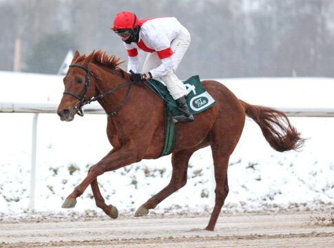 Mannis Boy siegt unter Leon Wolff