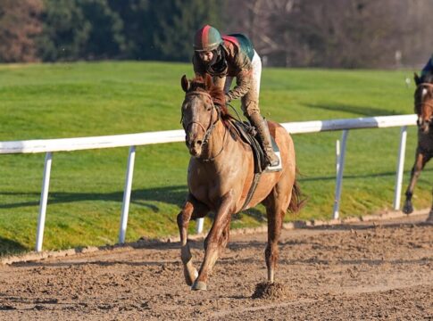Master Of Lips siegt unter Nina Baltromei