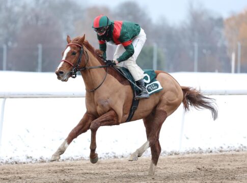 Master of Lips siegt unter Leon Wolff