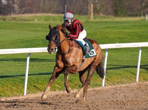 Mr Pablo siegt unter Michal Abik