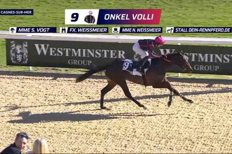Onkel Volli