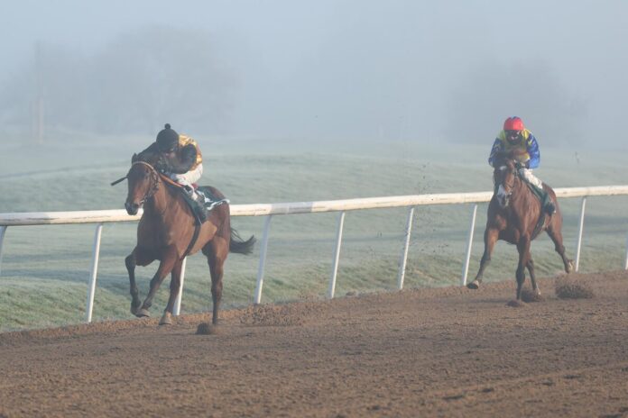 In Dortmund unterlag Turlow Ostseesonne In Dortmund unterlag Turlow Ostseesonne