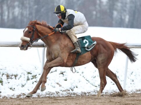 Primo Violetto siegt unter Koen Clijmans