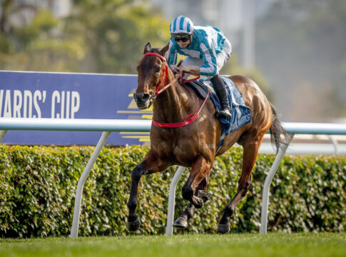 Romantic Warrior siegt im Stewards' Cup Foto: hkjc