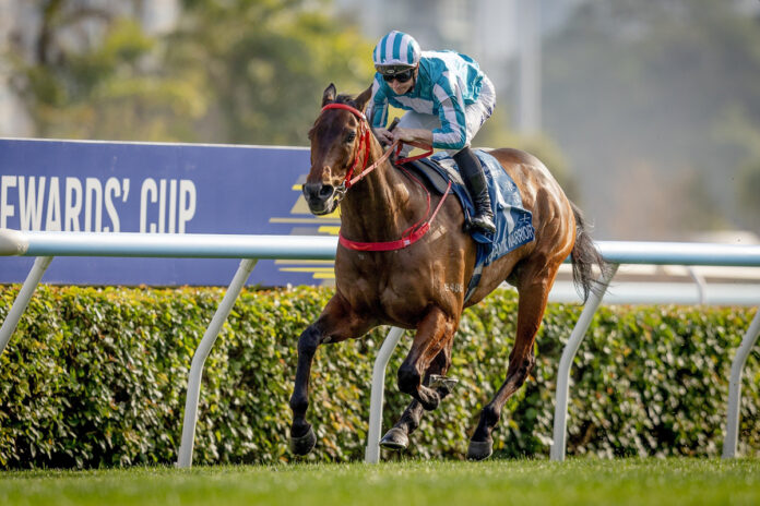 Romantic Warrior siegt im Stewards' Cup Foto: hkjc