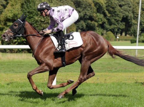 Siegt Takeo als erster Deutscher im Ausland?