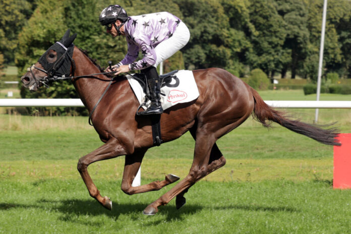 Siegt Takeo als erster Deutscher im Ausland?