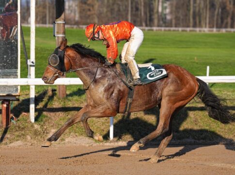 Zaroon siegt unter Esentur Turganaaly Uulu