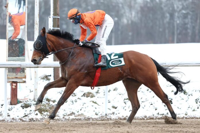 Zaroon siegt unter Sean Byrne