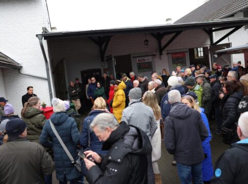 Stimmungsvolle Hengstpräsentation in Schlenderhan