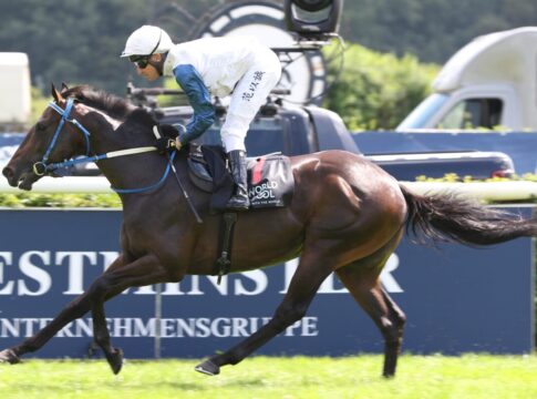 Westminsters Colin The Brave für den Prix Saonois genannt Colin The Brave